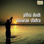 Dr. B.P. Vyas Songs MP3 Download